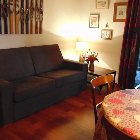 Avec Vue Mont Blanc, Parking Et Animaux Admis - Fr-1-517-35 Lejlighed Chamonix