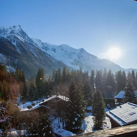 Avec Vue Mont Blanc, Parking Et Animaux Admis - Fr-1-517-35 * Chamonix