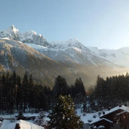 Apartment Avec Vue Mont Blanc, Parking Et Animaux Admis - Fr-1-517-35 *